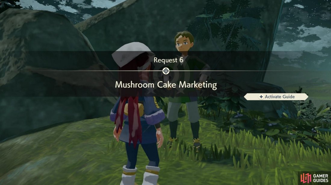 Request 6: Mushroom Cake Marketing.