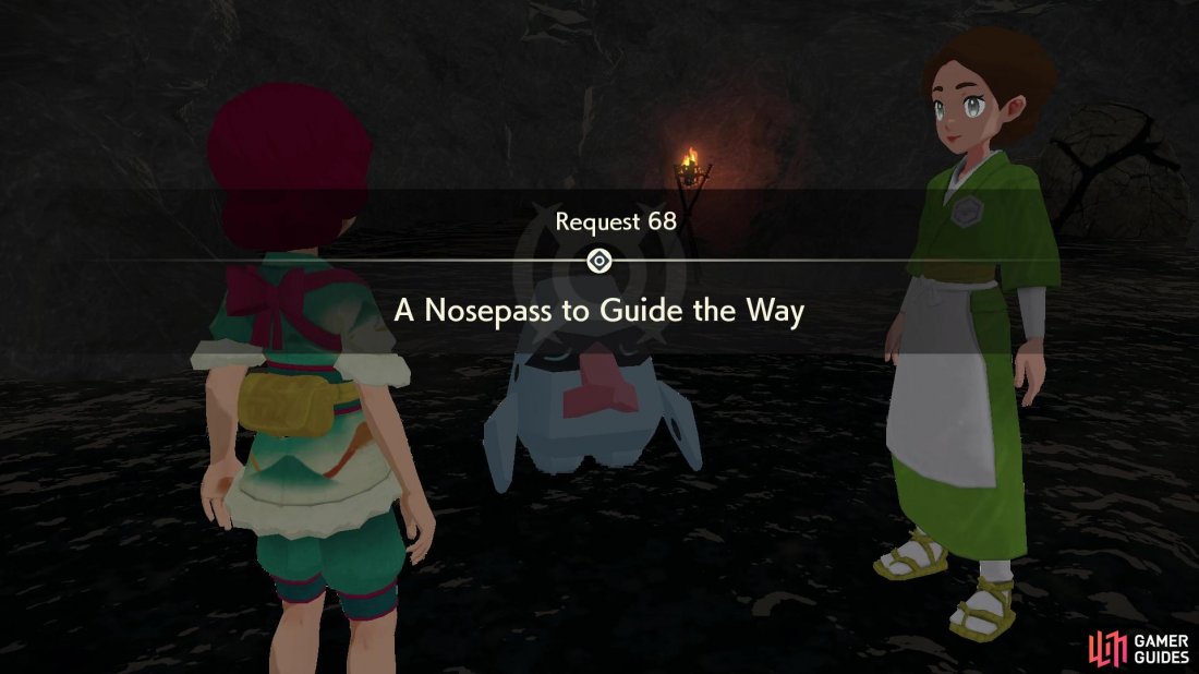 Request 68: A Nosepass to Guide the Way.