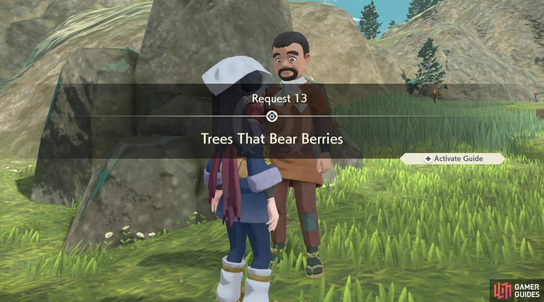 Request 13: Trees that Bear Berries.