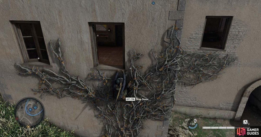 Youll need to use the vines to climb through the window to reach the room.
