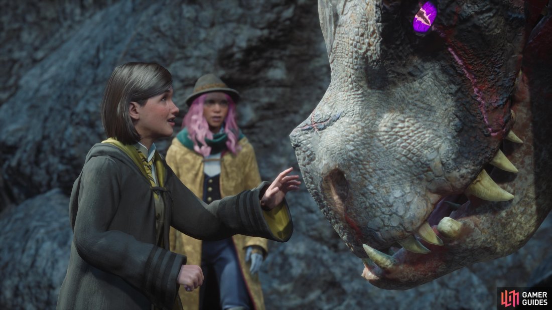 Poppy meeting a dragon in Hogwarts Legacy.