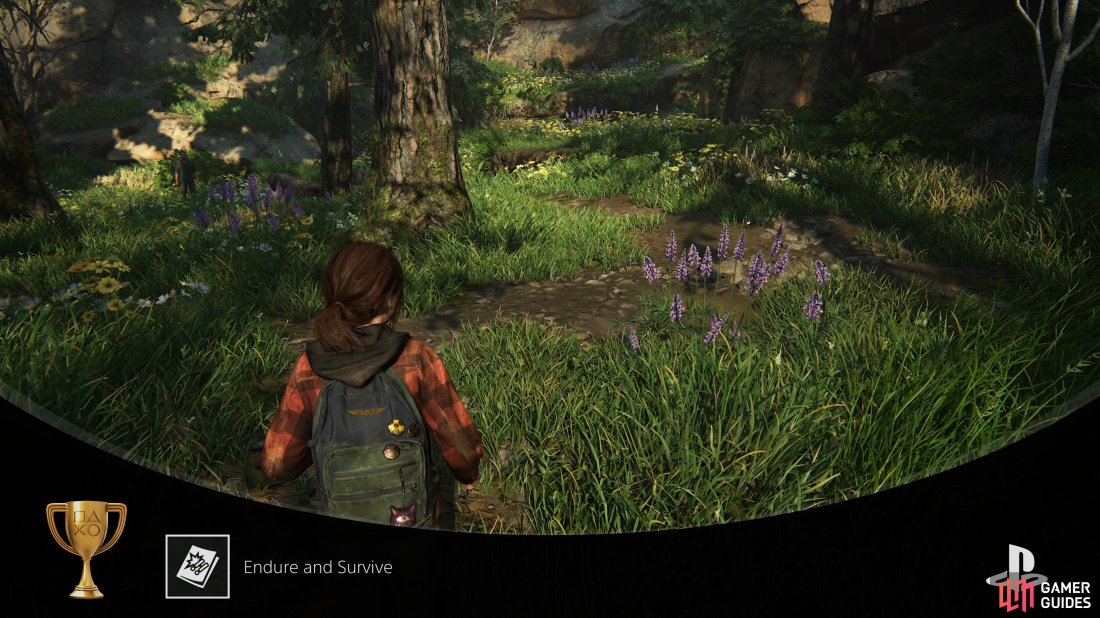 You'll unlock the Endure and Survive Trophy for finding all comics.