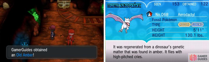 Take Old Amber to the Fossil Lab to turn it into the fearsome Aerodactyl.
