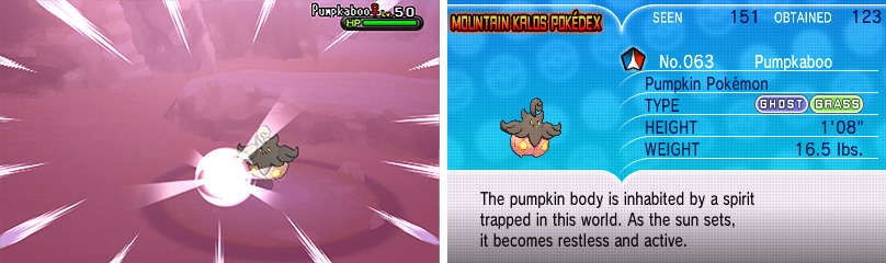 Pumpkaboo come in different sizes; the bigger the better.
