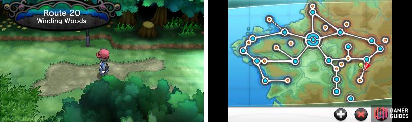 Winding Woods is a maze, so follow our route closely so you dont get lost.