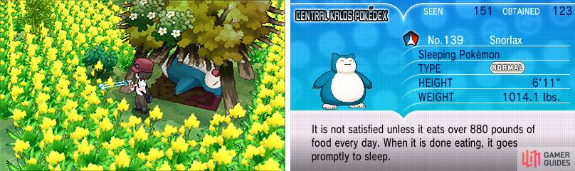 Snorlax doing what they do best. Lucky Snorlax.