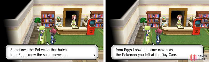 Listen to what the people inside the Pokémon Daycare say to you.