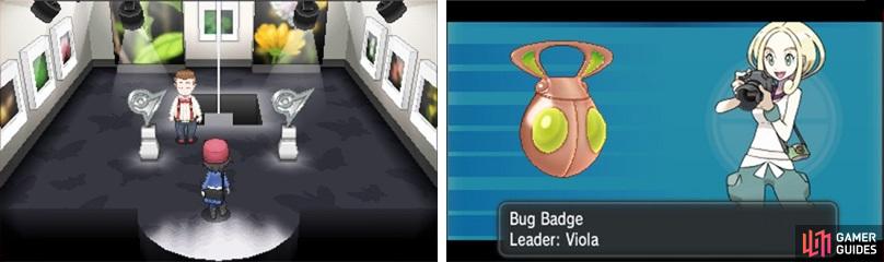 Beating each gym leader and getting their badge is proof of your skill as a Pokémon trainer.