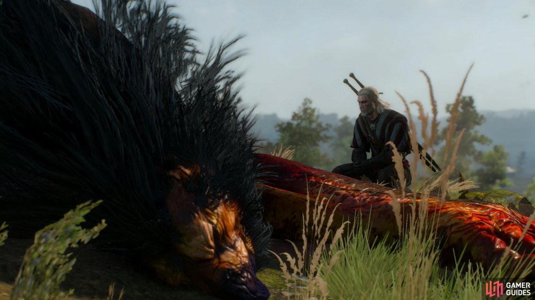Geralt examines the corpse of the Royal Griffin, and solves the mystery of why its mate is rampaging around White Orchard.