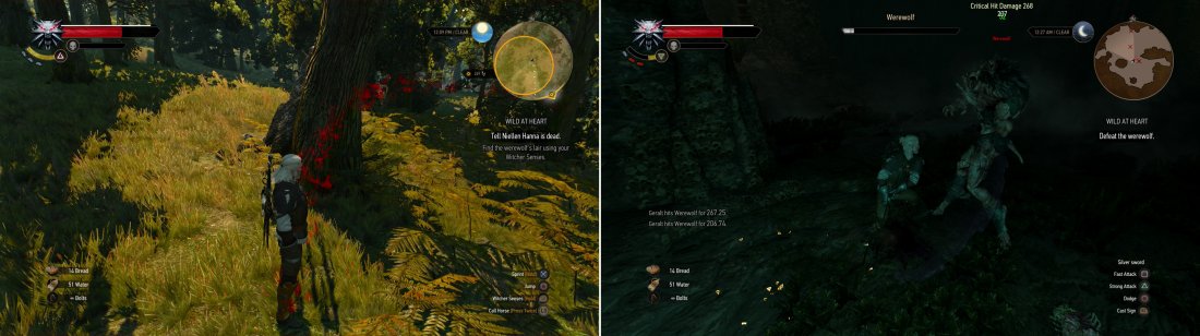 Follow a variety of trails with your Witcher Senses to find out the fate of Hanna (left). In a lair under a forest cottage youll have to fend off a Werewolf (right).