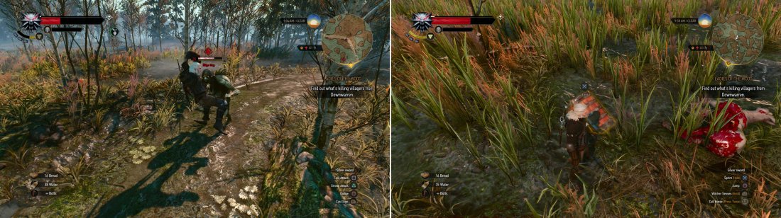 Be wary of a high level Bilge Hag that prowls the swamp (left). Kill a weaker Water Hag, however, and claim her treasure (right).