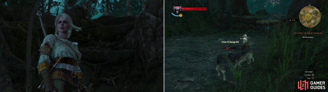 The Barons retelling of Ciris story is played out in gameplay, with you controlling Ciri (left). Dispatch some wolves - the beasts prowl these woods in number, and youll have to dispatch several groups of them (right).