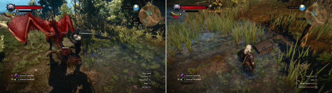 A Wyvern lords over a small swamp (left). If you defeat it, you can claim its treasure (right).