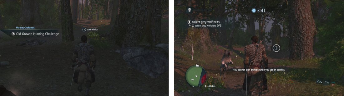 Approach the hunter to start the challenge (left). Approach wolves to have them attack you, press the buttons in sequence to kill them (right).