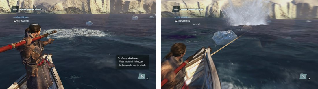 Bubles in the water (left) usually indicate the animals location. Once you hit it wit a harpoon, continue to do so as it drags you along (right).