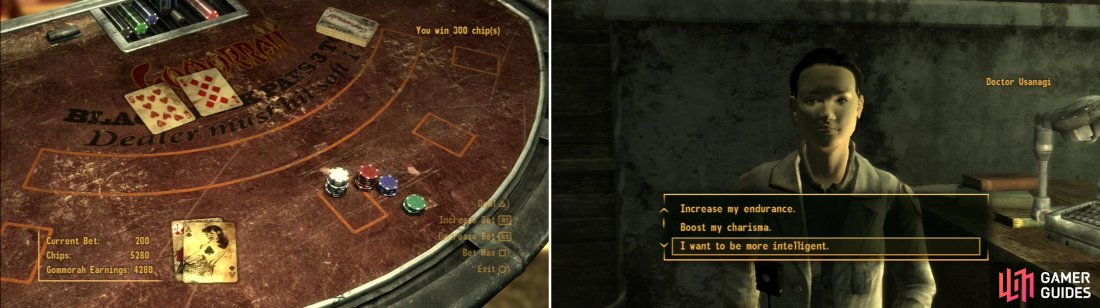 fallout new vegas implants