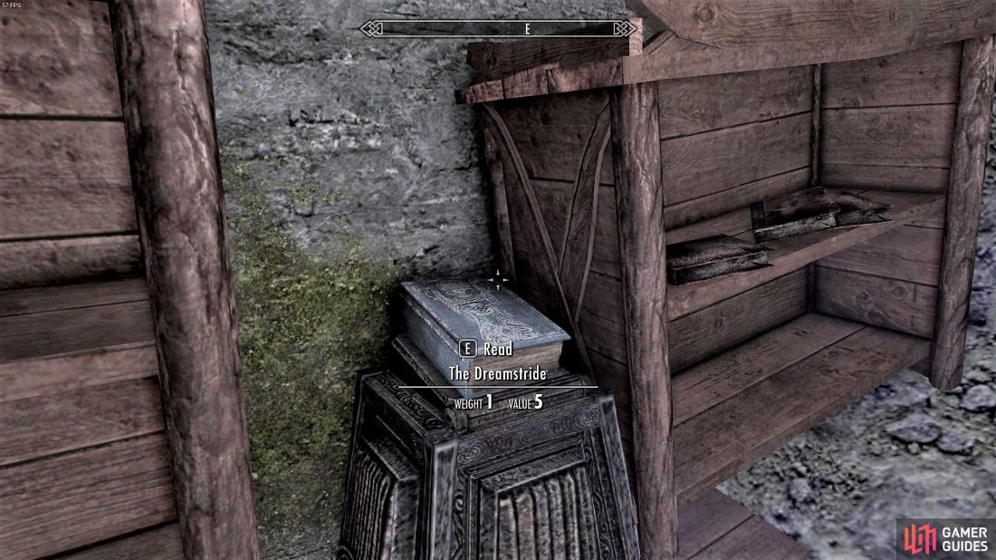 The Dreamstride book is found near the bookshelves on the upper level.
