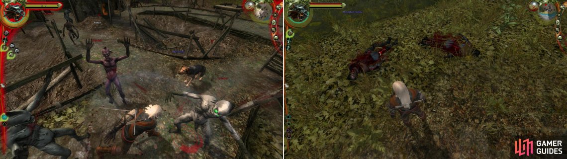 Featured image of post Berengar s Blade Cave