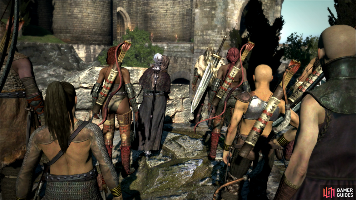 Dragons Dogma Assassin Build / All submissions should be related to