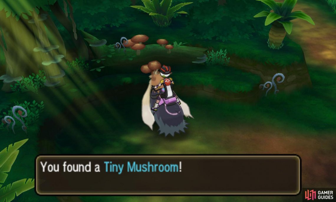Mushrooms of all sizes can be sold to Poké Marts.