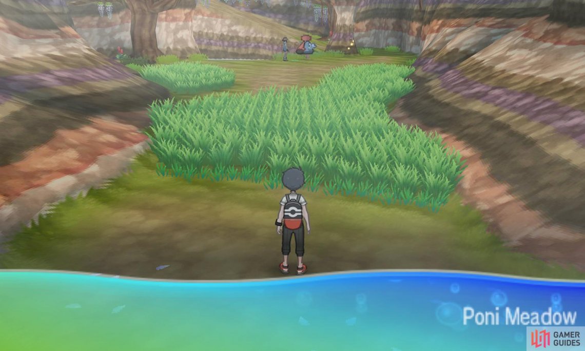 This meadow also serves as a landmark for Charizard Glide.