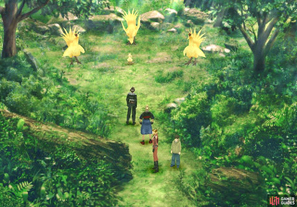 Complete the Chocobo Forest quest