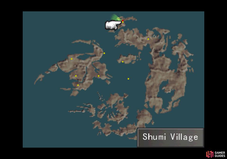The location of the Shumi Village on the world map