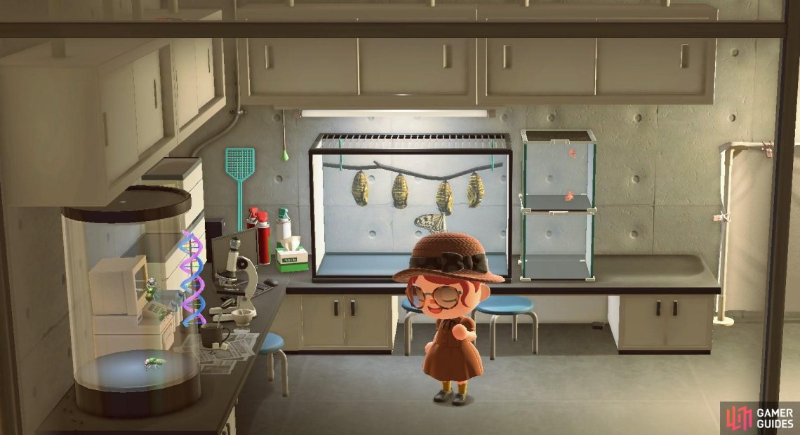 Bug Exhibitions - Bug Wing - Museum Exhibitions | Animal Crossing: New