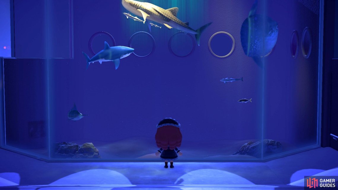 Fish - January - Critterpedia | Animal Crossing: New Horizons | Gamer