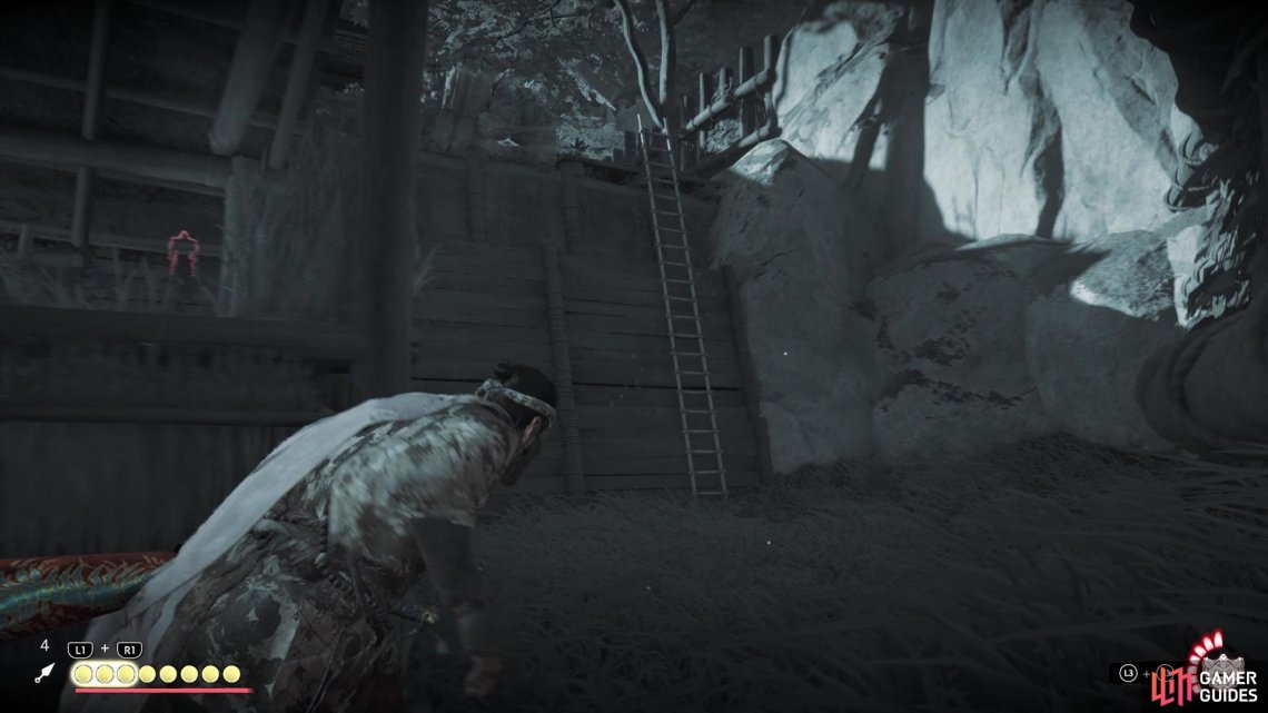 You can use this ladder to reach the upper area a little more quietly