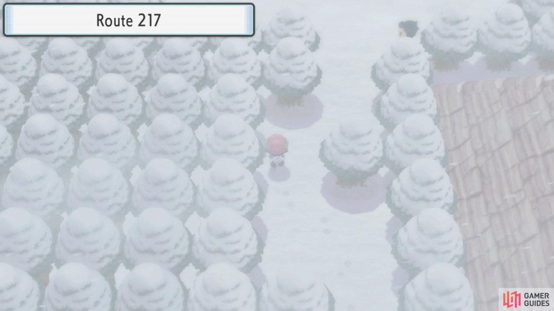 Route 217 (Encounters & Items) - Icicle Badge - Walkthrough | Pokémon ...
