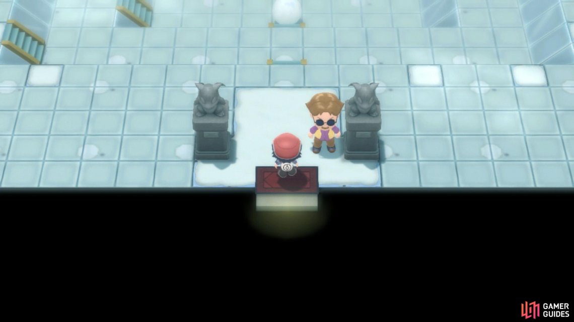 Snowpoint Gym is where elite Ice-type trainers hang out.