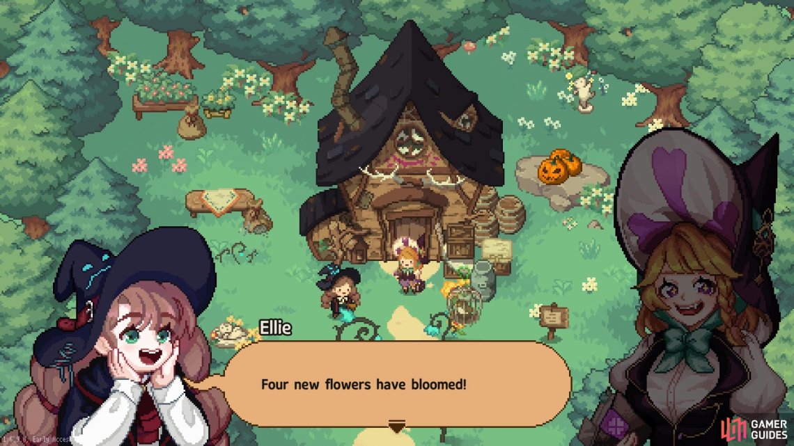 Help Diane test out the Nutrition Potion and you can harvest four Bird Flowers