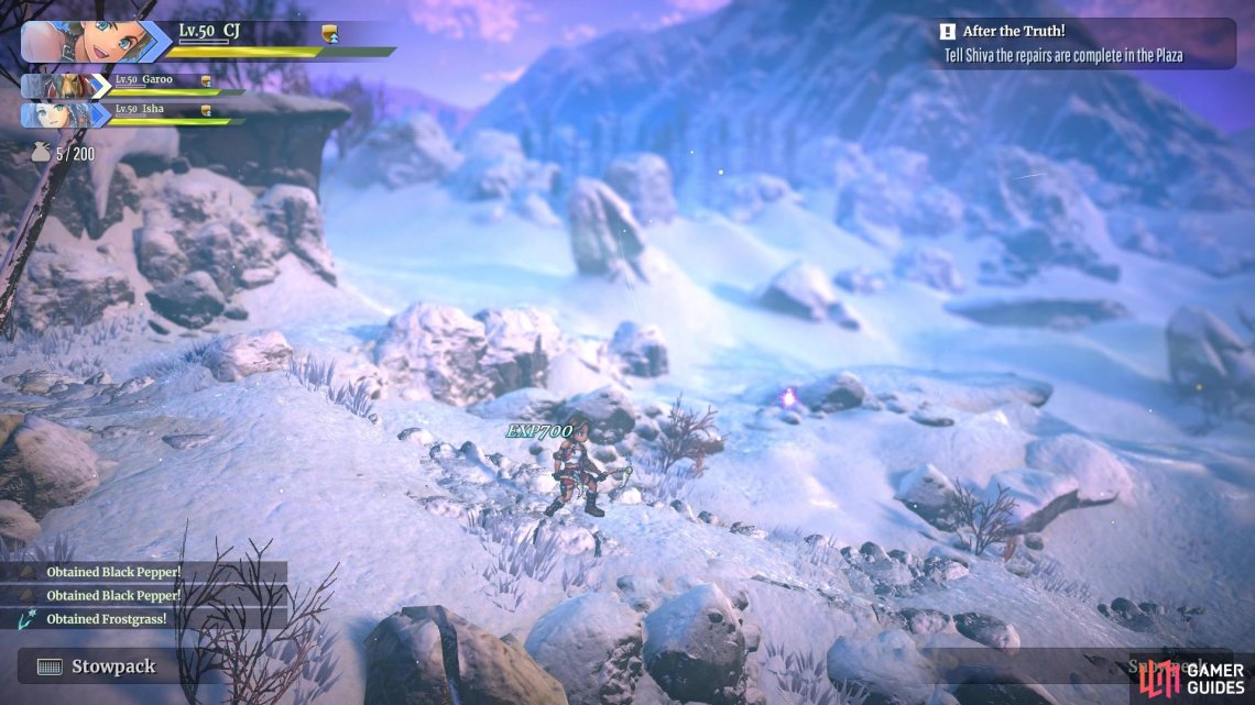 Its difficult to see the blue/purple drop with the background on Snowpeak