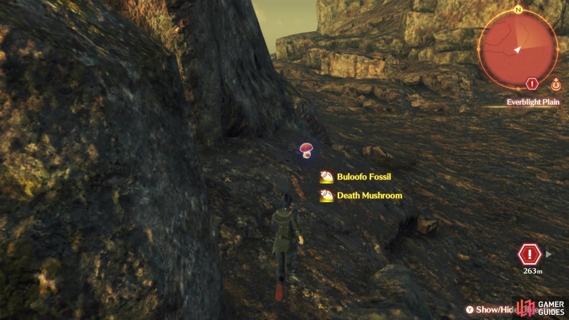 The Death Mushroom can be found in Everblight Plain