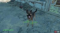 At the Red Rocket Truck Stop youll meet a very good boy whos in the market for a human pal to follow around.