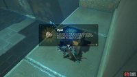 Opals can sell for a lot of rupees