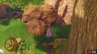 Search in the southeast corner near in the open field before the waterfall to find a hidden chest