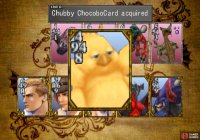 and win the Chubby Chocobo card.