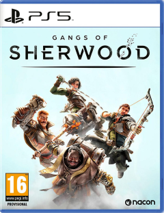 Gangs of Sherwood game cover