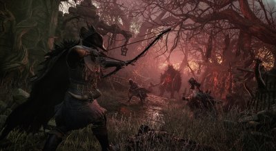 Accursed Grove