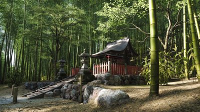 Exploring a quiet bamboo forest hidden away from the festival routes, complete with a small countryside shrine.
