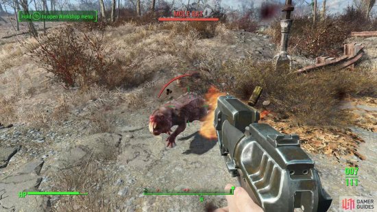 After teaming up with Dogmeat, dispose of several Molerats that surface nearby.