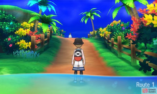 Alola can feel like a very different place depending on the time of day.