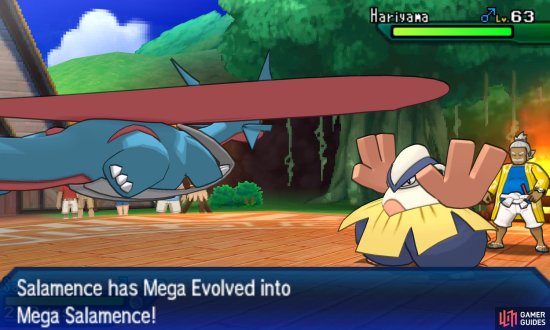Mega Evolution Pokemon Battles Gameplay Pokemon Ultra Sun Moon Gamer Guides