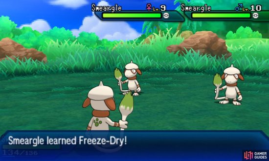Sketching With Smeargle Pokemon Breeding Advanced Knowledge Pokemon Ultra Sun Moon Gamer Guides