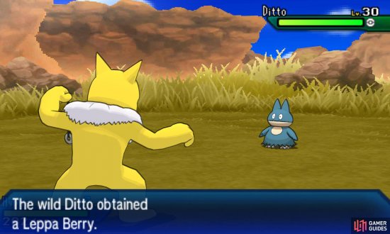 After finding Ditto, you need to make it self-sustaining.