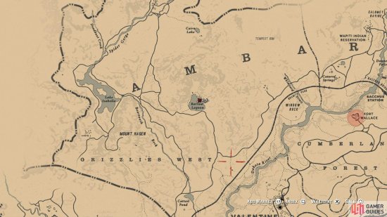 Карта сокровищ чика rdr 2 где найти