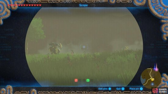 You can see the Bokoblins riding on wild horses