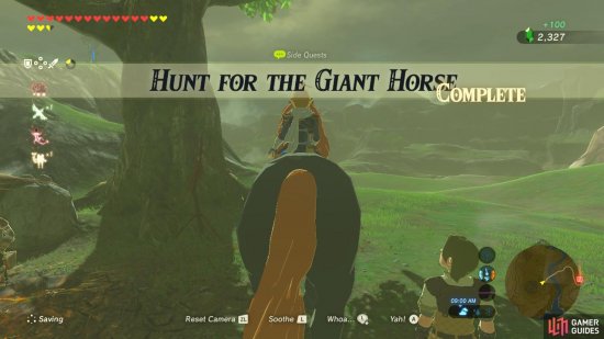 The sidequest is complete. You can let the horse go or register it at a nearby stable